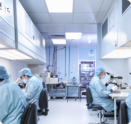 Medical Care